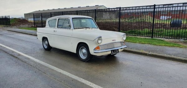 画像2: 1962 フォード　アングリア　フルレストア済み　Ford Anglia