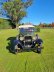画像2: 1930 フォード モデルA フェートン 4ドア　Ford Model A Phaeton Tourer 4DR (2)