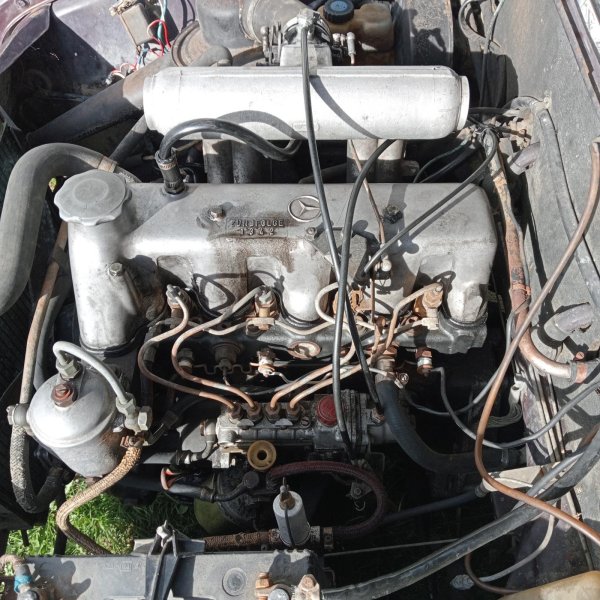 画像6: 1967 Mercedes. Model 110 Fintail　メルセデス　モデル110