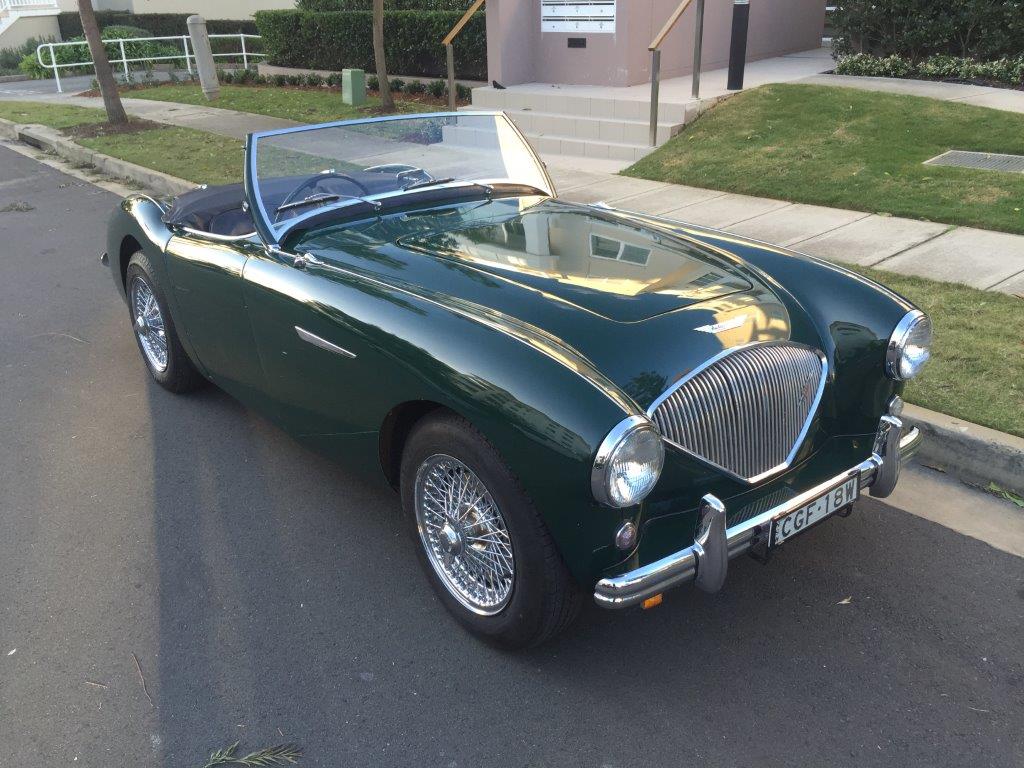 1954 オースチン ヒーレー 100｜ニュージーランドクラシック